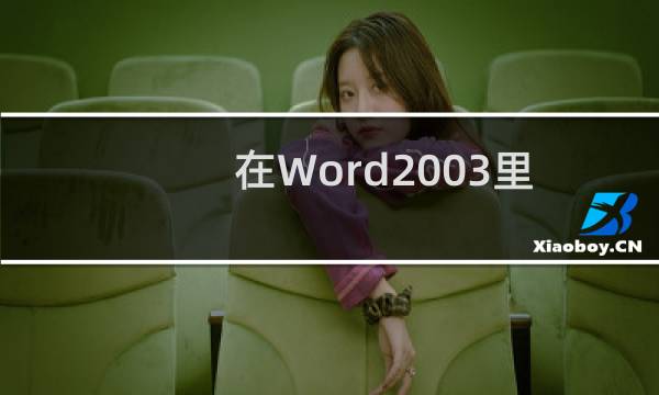 在Word2003里如何将文字设置为阴影字？
