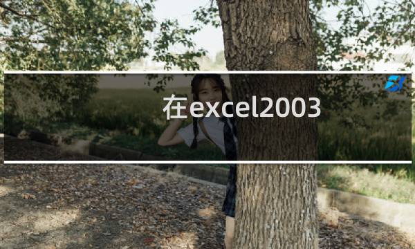 在excel2003中如何隐藏显示行与列的方法