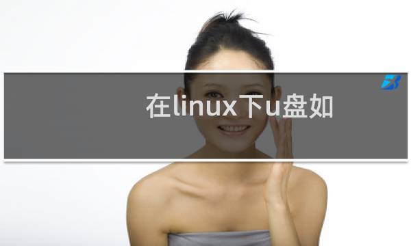 在linux下u盘如何使用