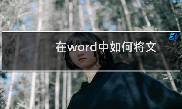在word中如何将文字变成图片