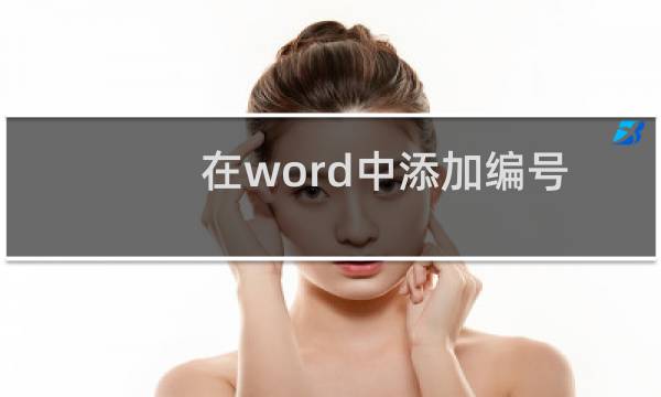 在word中添加编号：[1]文本编号