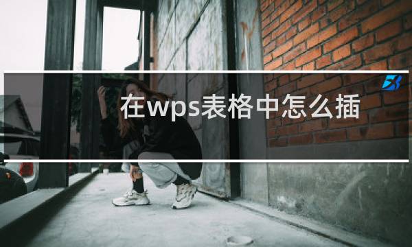 在wps表格中怎么插入图片？