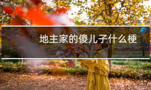 地主家的傻儿子什么梗