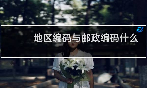 地区编码与邮政编码什么区别