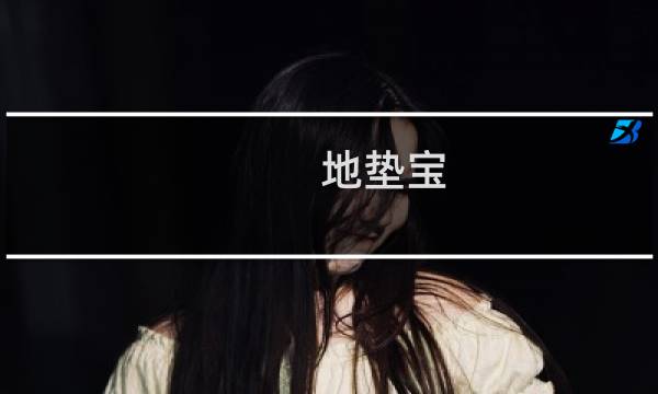 地垫宝