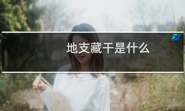 地支藏干是什么（揭开地支藏干的奥秘）图片