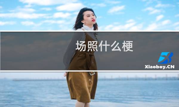 场照什么梗