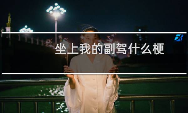 坐上我的副驾什么梗