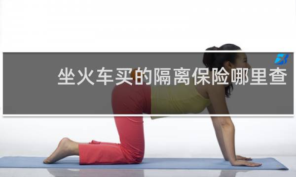 坐火车买的隔离保险哪里查