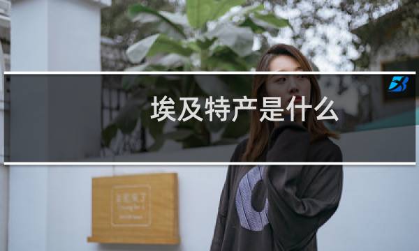 埃及特产是什么图片