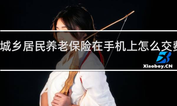 城乡居民养老保险在手机上怎么交费湖北