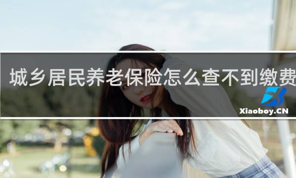 城乡居民养老保险怎么查不到缴费记录