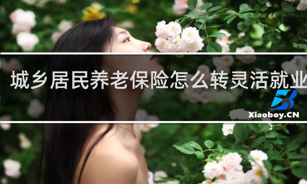 城乡居民养老保险怎么转灵活就业养老图片