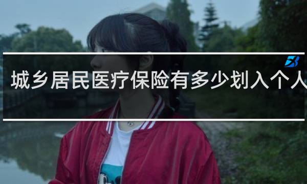 城乡居民医疗保险有多少划入个人账户图片