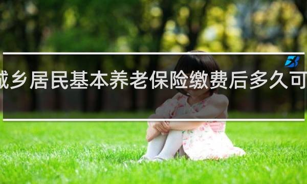 城乡居民基本养老保险缴费后多久可以领取图片