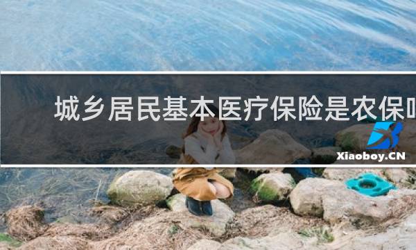 城乡居民基本医疗保险是农保吗