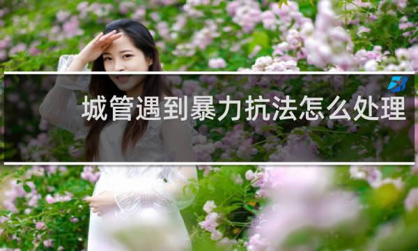 城管遇到暴力抗法怎么处理
