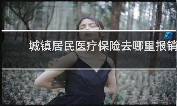 城镇居民医疗保险去哪里报销
