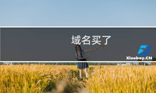 域名买了,就可以去服务器捆绑?