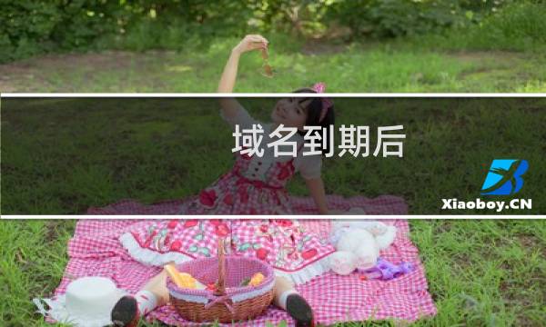 域名到期后，还有什么方式能证明我们只用到了到期之前呢？