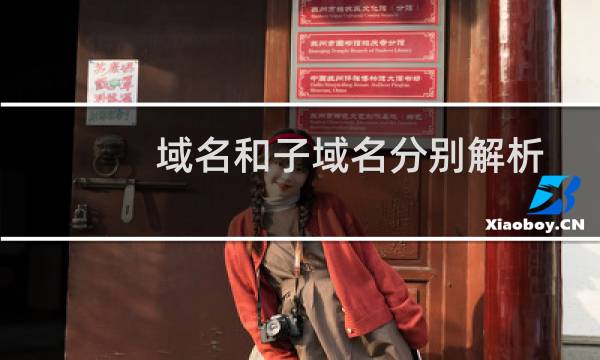 域名和子域名分别解析到不同的服务器