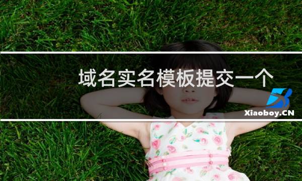 域名实名模板提交一个星期了,怎么还在审核中