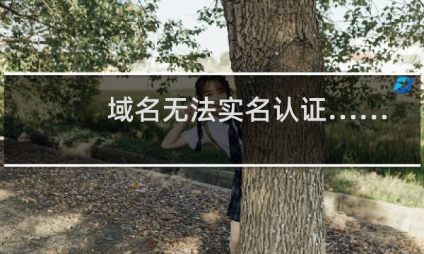 域名无法实名认证……-域名及账户问题