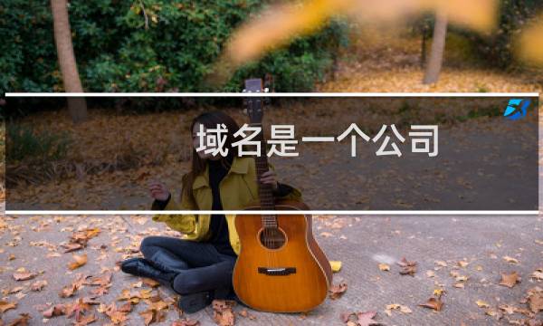 域名是一个公司，主体不一致