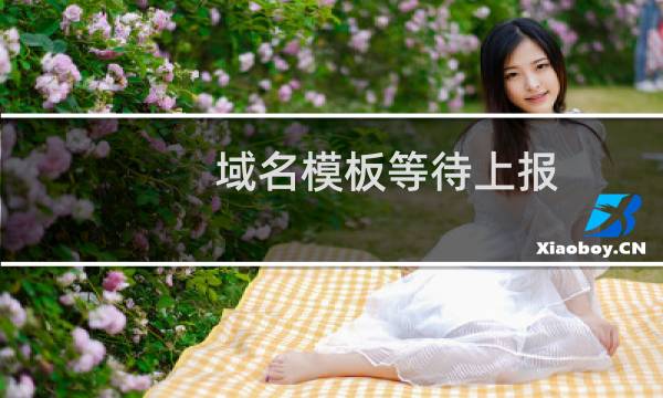 域名模板等待上报，什么时候上报，上报多久审核成功