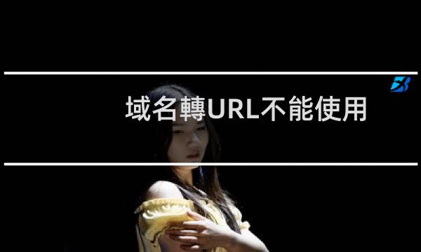 域名轉URL不能使用-域名及账户问题