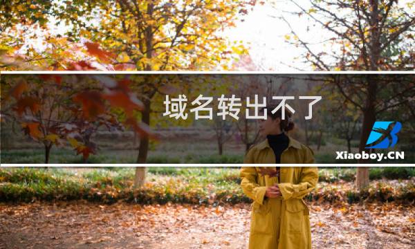 域名转出不了 为什么-域名及账户问题