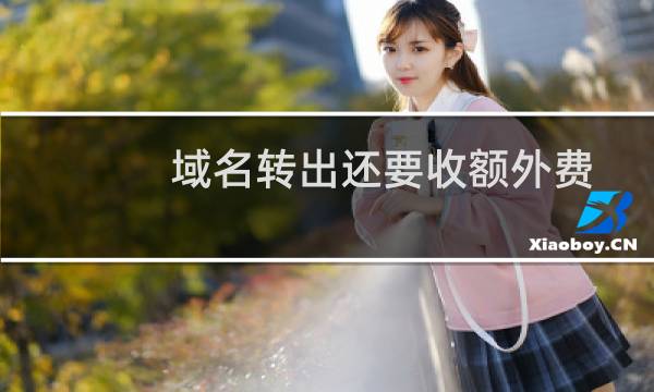 域名转出还要收额外费用吗？