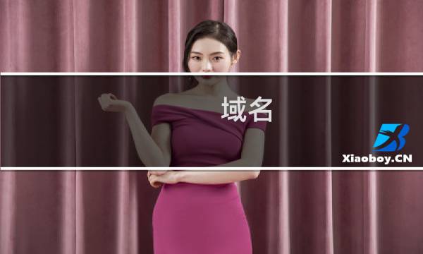 域名( logo.我爱你 )续费失败 检查原因且授权续费该域