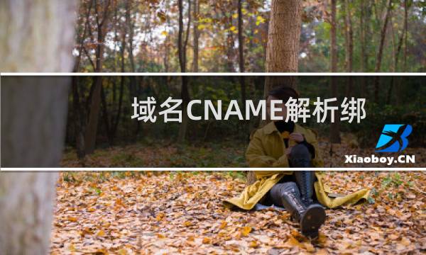 域名CNAME解析绑定不了虚拟主机