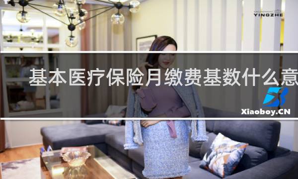 基本医疗保险月缴费基数什么意思