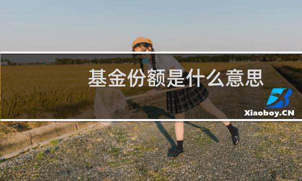 基金份额是什么意思(基金份额的计算方法)