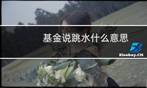 基金说跳水什么意思
