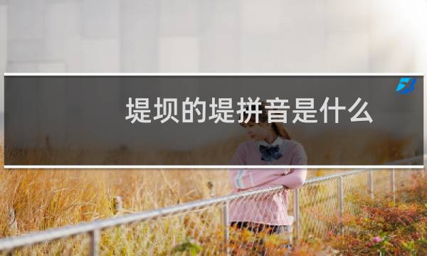 堤坝的堤拼音是什么（堤坝的拼音怎么读音（堤的拼音））