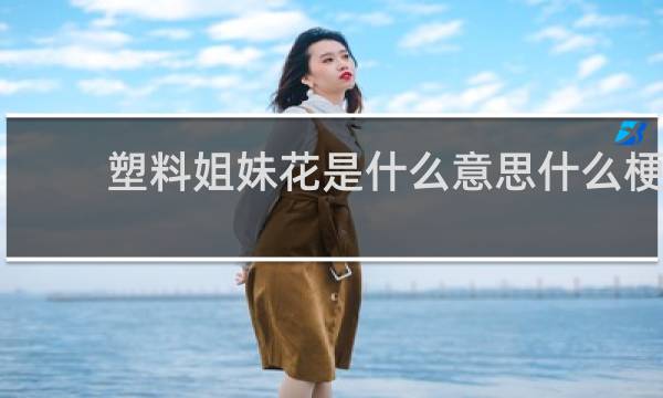 塑料姐妹花是什么意思什么梗