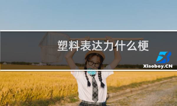 塑料表达力什么梗