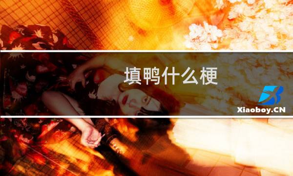 填鸭什么梗
