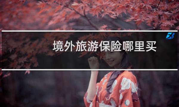 境外旅游保险哪里买
