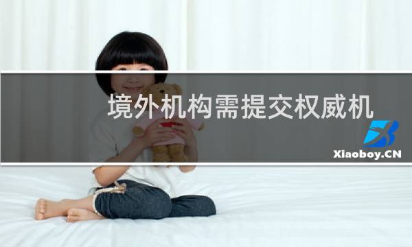 境外机构需提交权威机构颁发的证件进行实名