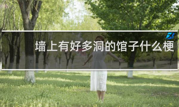 墙上有好多洞的馆子什么梗