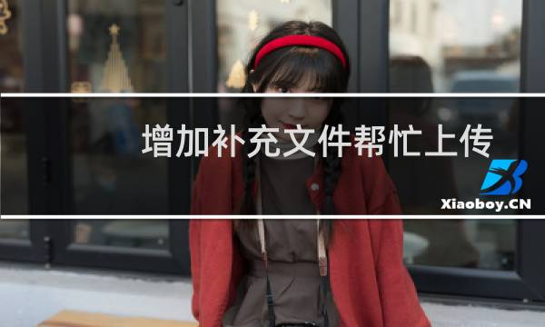 增加补充文件帮忙上传一下