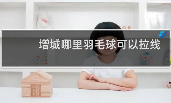 增城哪里羽毛球可以拉线
