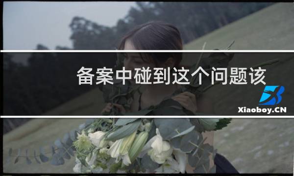 备案中碰到这个问题该怎么解决？