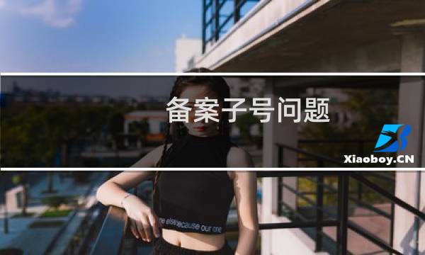 备案子号问题,附工单编号: