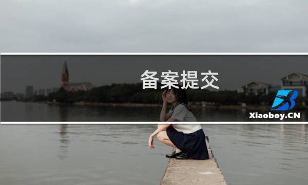 备案提交，附加资料怎么是要传两个人的？可以先传一个吗，这次是