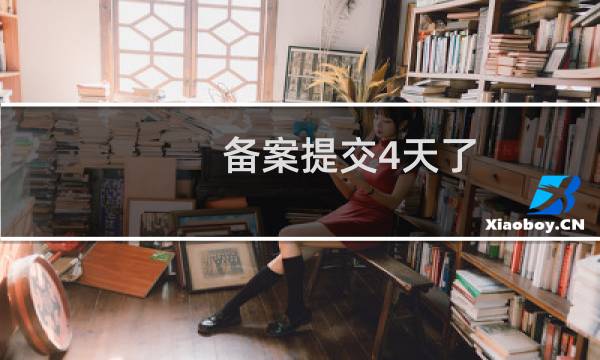 备案提交4天了，还没有进度